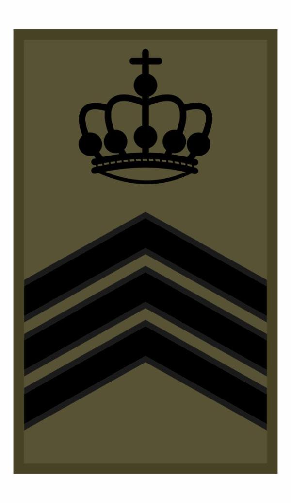 ROT Badge Klu SGT Instr