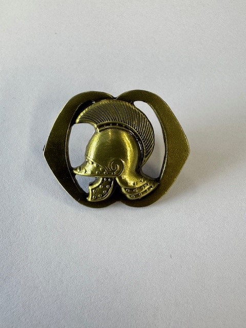 Mini baretembleem Genie